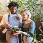 Essential Tips for Keeping Your Houseplants Healthy and Thriving